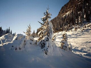 Apartment Silvretta Nova Umgebung 33