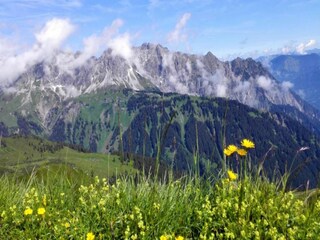 Appartement Silvretta Nova Omgeving 16