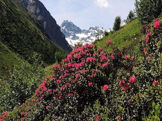 Appartement Silvretta Nova Omgeving 17