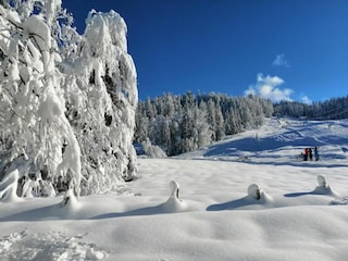 Ferienhaus Alberschwende Umgebung 29