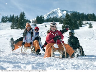 Ferienhaus Alberschwende Umgebung 34