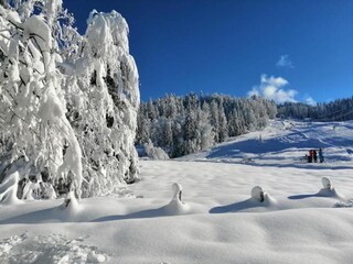 Casa de vacaciones Alberschwende Entorno 30