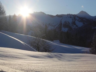 Ferienhaus Alberschwende Umgebung 35