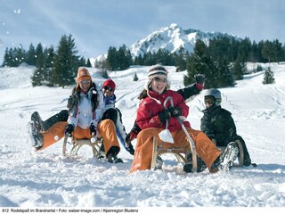 Casa per le vacanze Alberschwende Ambiente 32