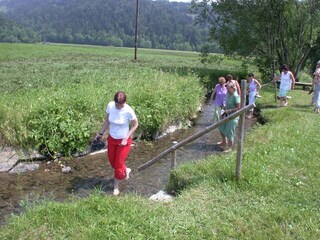 Chalet Sibratsgfäll Entorno 16