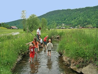 Chalet Sibratsgfäll Omgeving 19