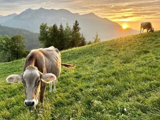 Chalet Sibratsgfäll Ambiente 19