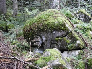 Chalet Sibratsgfäll Umgebung 30