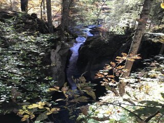 Chalet Sibratsgfäll Omgeving 36