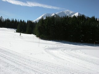 Chalet Hohentauern Environnement 31