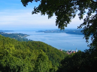 Umgebung , Wanderwege Sipplingen