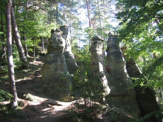 Naturschutzgebiet Sipplingen