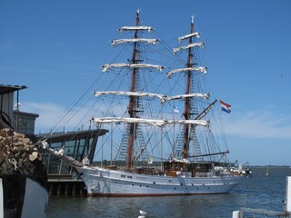 Attraktion im Hafen