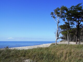 Der Weststrand - einer der schönsten Europas