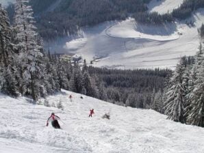 Appartement à Vordernberg près du domaine skiable - Vordernberg - image1