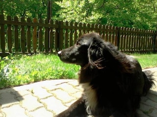 Apartamento Vordernberg Grabación al aire libre 2