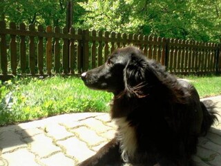 Appartamento Vordernberg Registrazione all'aperto 3