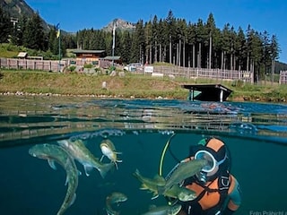 Apartment Vordernberg Umgebung 28