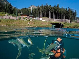 Appartamento Vordernberg Ambiente 28