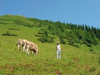 Appartamento Vordernberg Ambiente 29