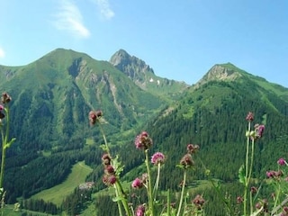 Apartment Vordernberg Umgebung 31