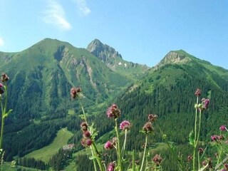 Apartamento Vordernberg Entorno 21