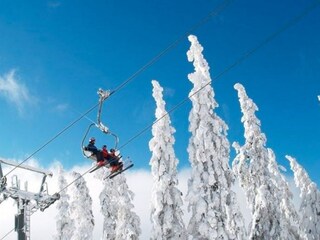 Appartement Vordernberg Omgeving 18