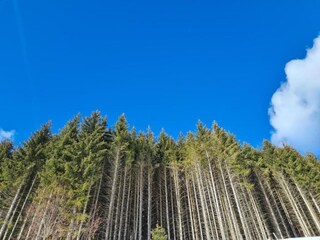 Appartamento Vordernberg Ambiente 21