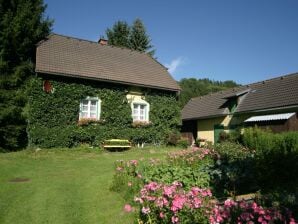 Holiday house Ferienhaus in Scheifling nahe Skigebiet - Niederwoelz - image1