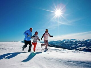 Vakantiehuis Niederwölz Omgeving 37