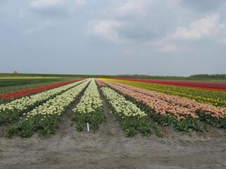 Casa per le vacanze Schagerbrug Ambiente 34