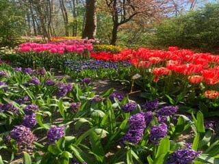 Casa per le vacanze Schagerbrug Ambiente 33