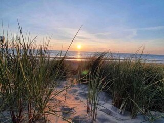 Casa de vacaciones Noordwijk Entorno 34