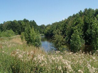 Apartamento Ritthem Entorno 33