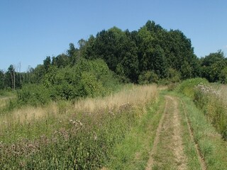 Appartement Ritthem Omgeving 25