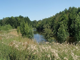 Apartment Ritthem Umgebung 29