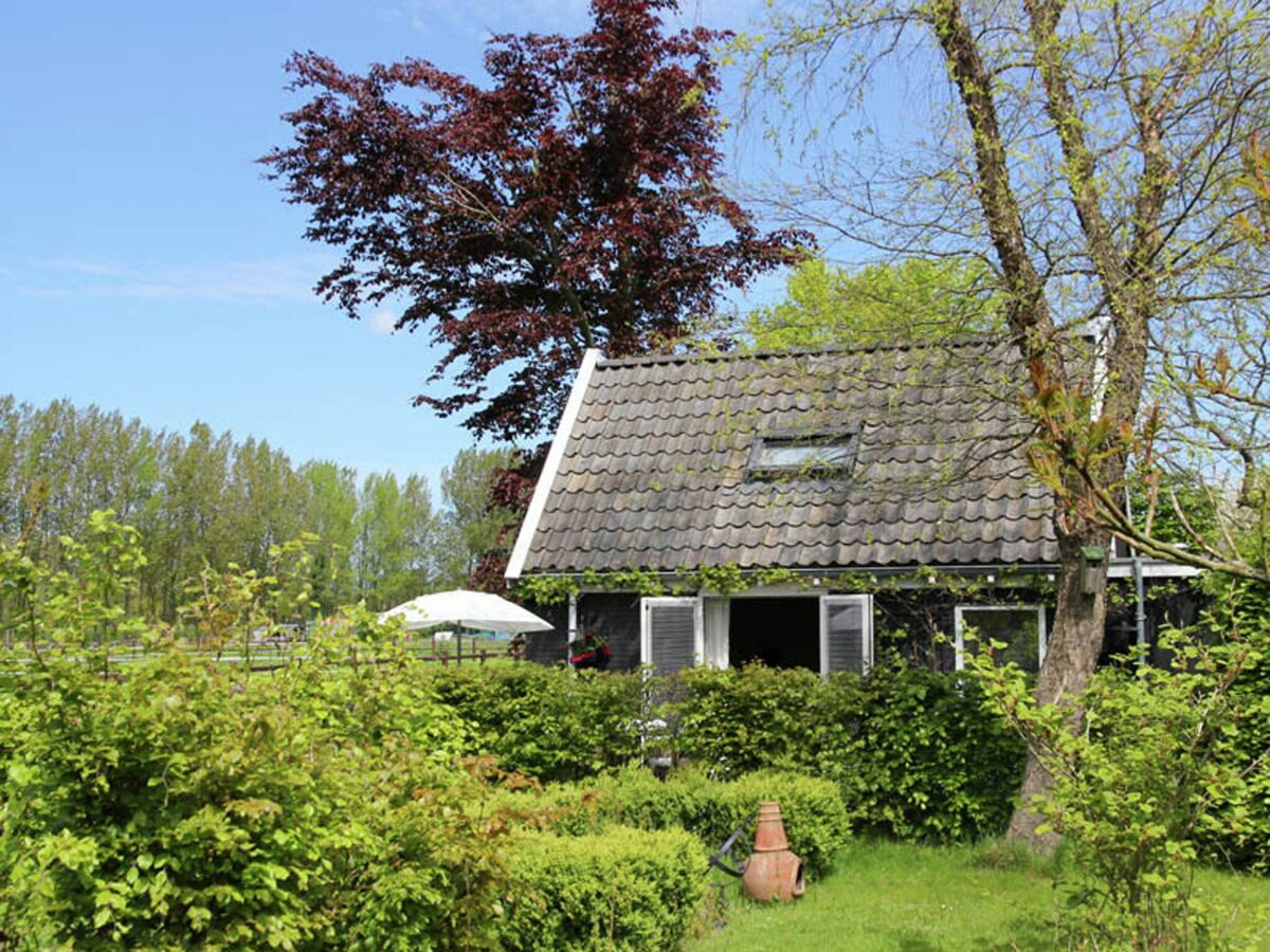 Casa de vacaciones Heiloo Grabación al aire libre 1