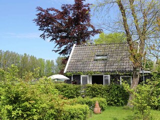 Vakantiehuis Heiloo Buitenaudio-opname 2