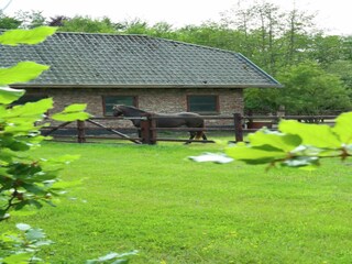 Casa per le vacanze Heiloo Ambiente 26