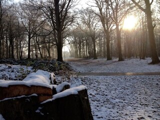 Maison de vacances Heiloo Enregistrement extérieur 6