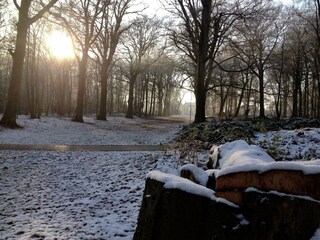 Vakantiehuis Heiloo Omgeving 25