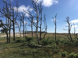 Casa per le vacanze Schoorl Ambiente 38