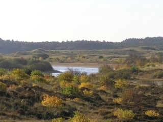 Vakantiehuis Schoorl Omgeving 28