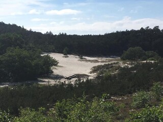 Maison de vacances Schoorl Environnement 36