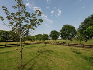Holiday house Hippolytushoef Outdoor Recording 6