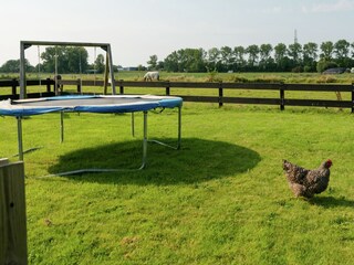 Holiday house Hippolytushoef Outdoor Recording 11
