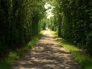 Vakantiehuis Hippolytushoef Omgeving 26