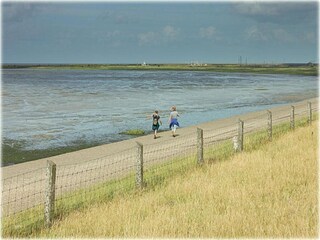 Vakantiehuis Hippolytushoef Omgeving 37