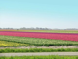 Vakantiehuisje Breezand Omgeving 32