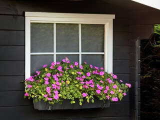 Maison de vacances Noordwijk  31